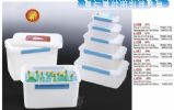 Freshness Keeping Box/Plastic Freshness Keeping Box